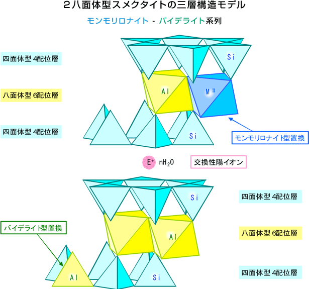 ２八面体型スメクタイトの三層構造モデル